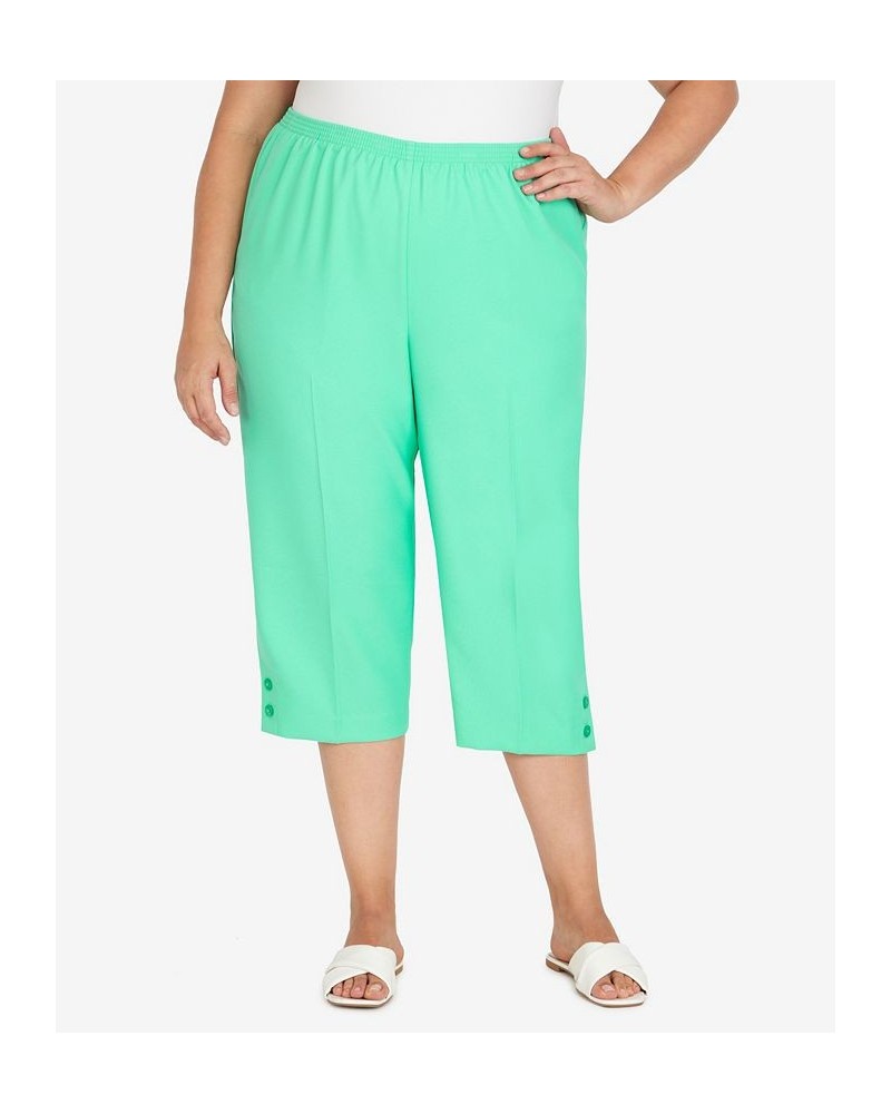 Plus Size Classic Capri Pants Periwinkle $26.25 Pants