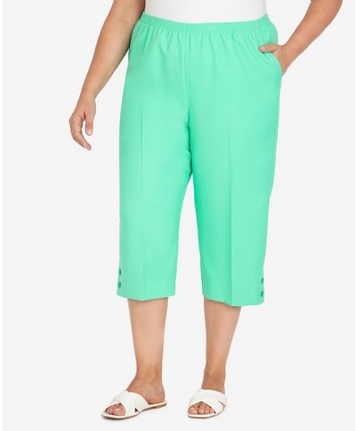 Plus Size Classic Capri Pants Periwinkle $26.25 Pants