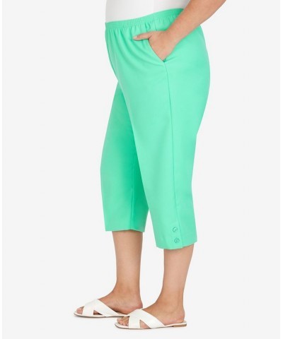 Plus Size Classic Capri Pants Periwinkle $26.25 Pants